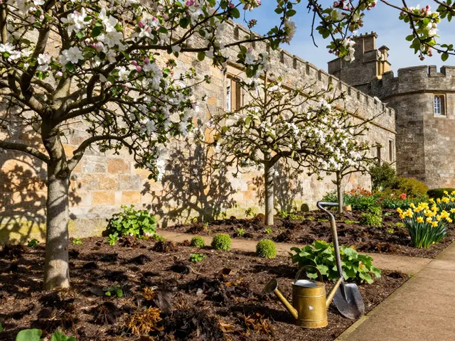 Drum Castle Garden: Historic Walled Garden and Trails