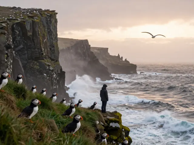 Shetland Islands Guide: Norse Heritage, Cliffs, and Remote Life