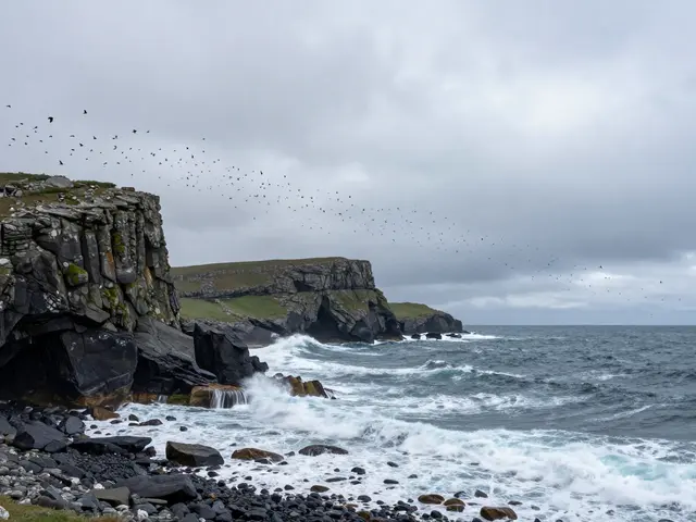 Spring Bird Migration in Scotland: Coasts, Islands, and Times