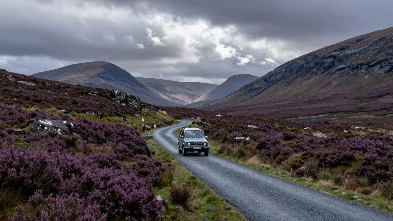 Car on a narrow single-track road through heather moorlands in Scottish Highlands