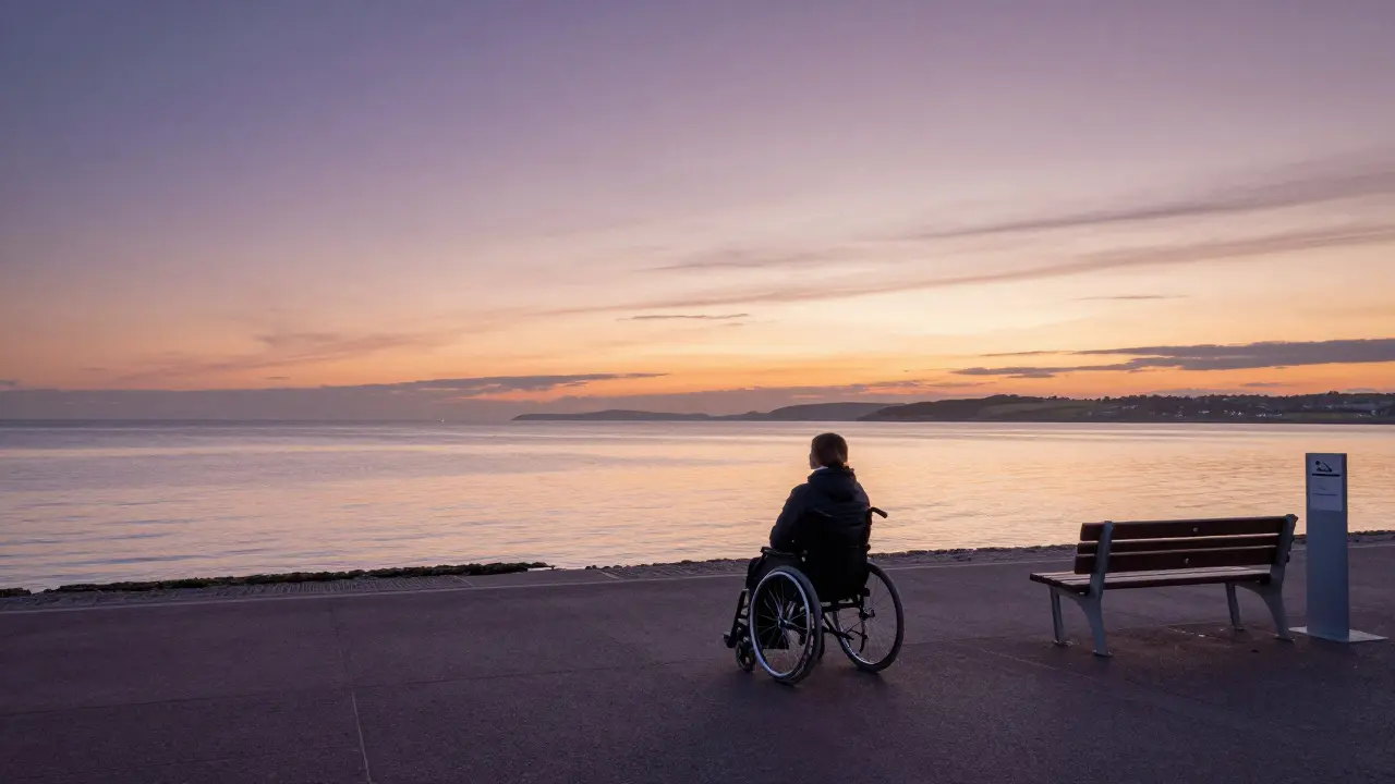 Person in wheelchair enjoying sunset views on a coastal promenade