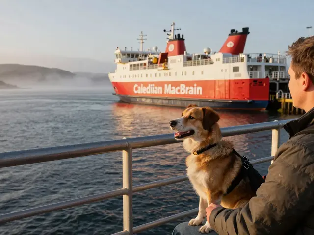Pet Travel in Scotland: Complete Guide to Ferries, Hotels, and Park Rules