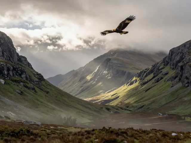 Scotland Nature Reserves: A Regional Guide to SNH and RSPB Sites