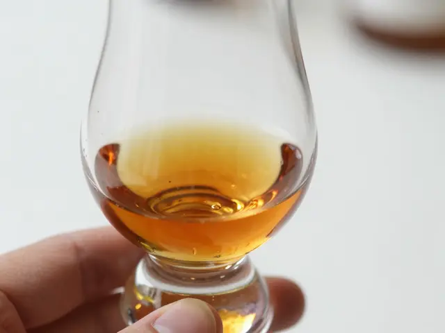 Scottish Whisky Guide: Regions, Types, and Tasting Profiles