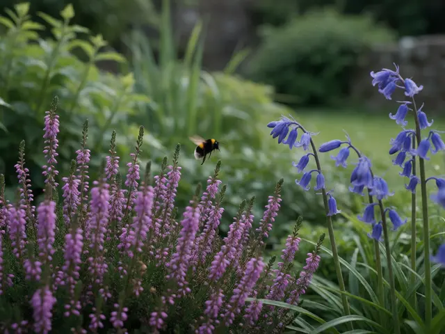 Sustainable Gardening in Scotland: A Guide to Native Plants and Pollinators