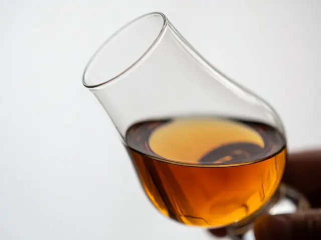 Scotch Whisky Tasting: How to Taste Whisky Like an Expert